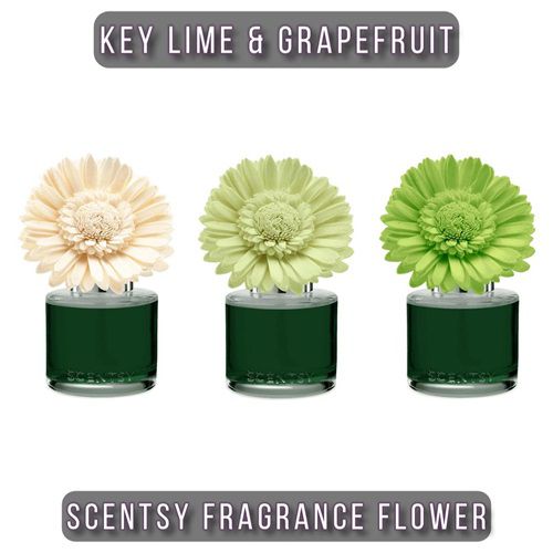 Key Lime & Grapefruit Scentsy Fragrance Flower