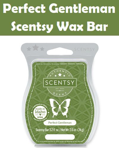 Download Father S Day Scentsy Collection 2021 Tanya Charette