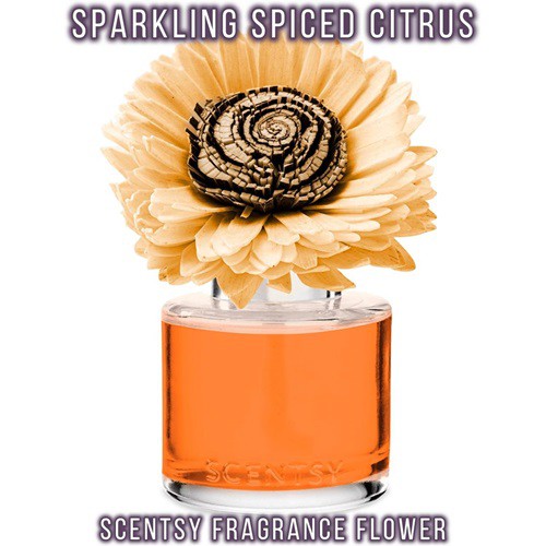 Sparkling Spiced Citrus Scentsy Fragrance Flower