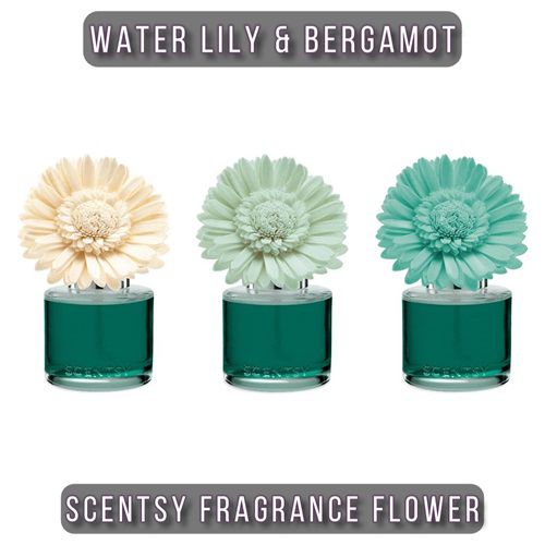 Water Lily & Bergamot Scentsy Fragrance Flower