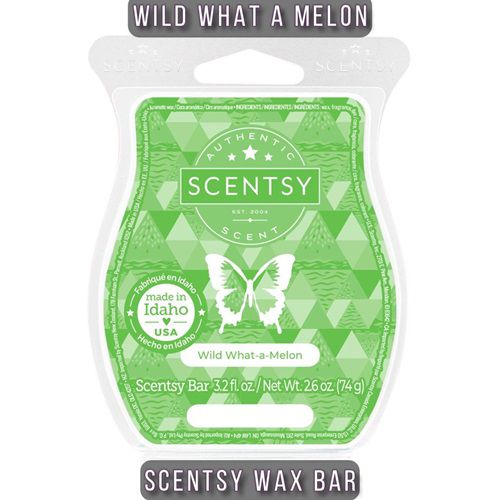 Wild What a Melon Scentsy Bar